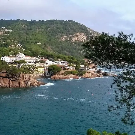 Casa Pino Verde