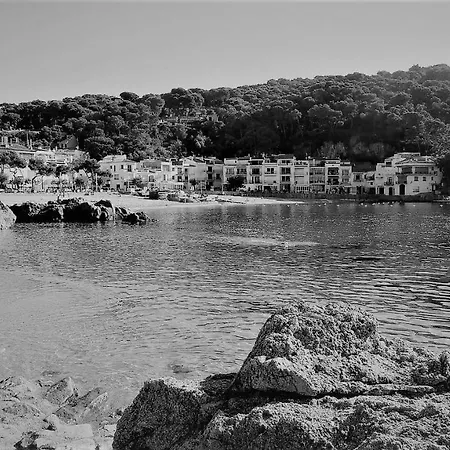 Casa Pino Verde